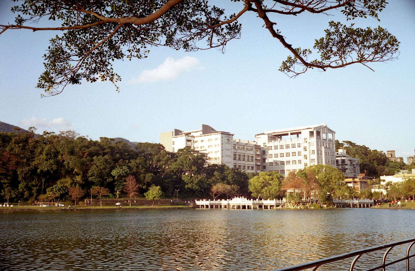 A university campus beside a lake in Taipei, with academic buildings visible through the trees.